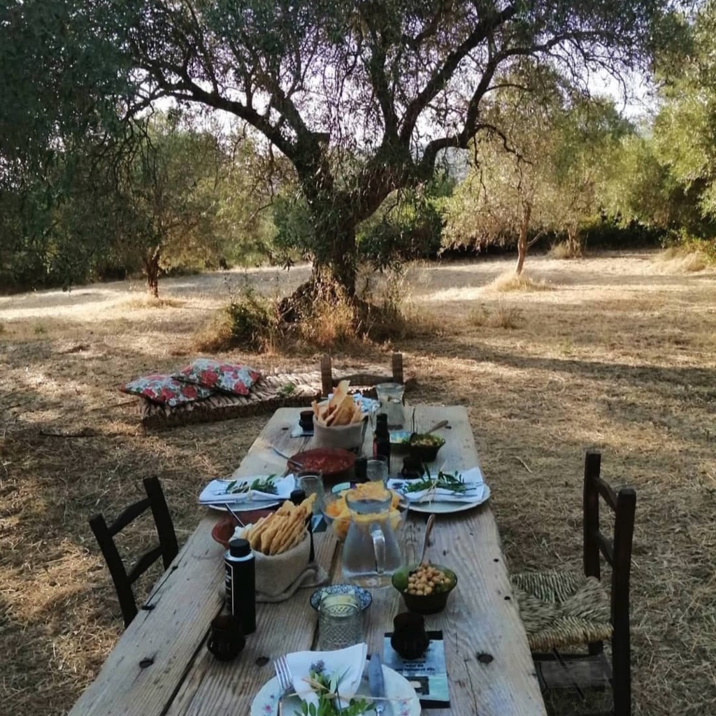 GLAMPING AUF SARDINIEN: SCHLAFEN ZWISCHEN OLIVENBÄUMEN BEI SAN MOLA EXPERIENCE