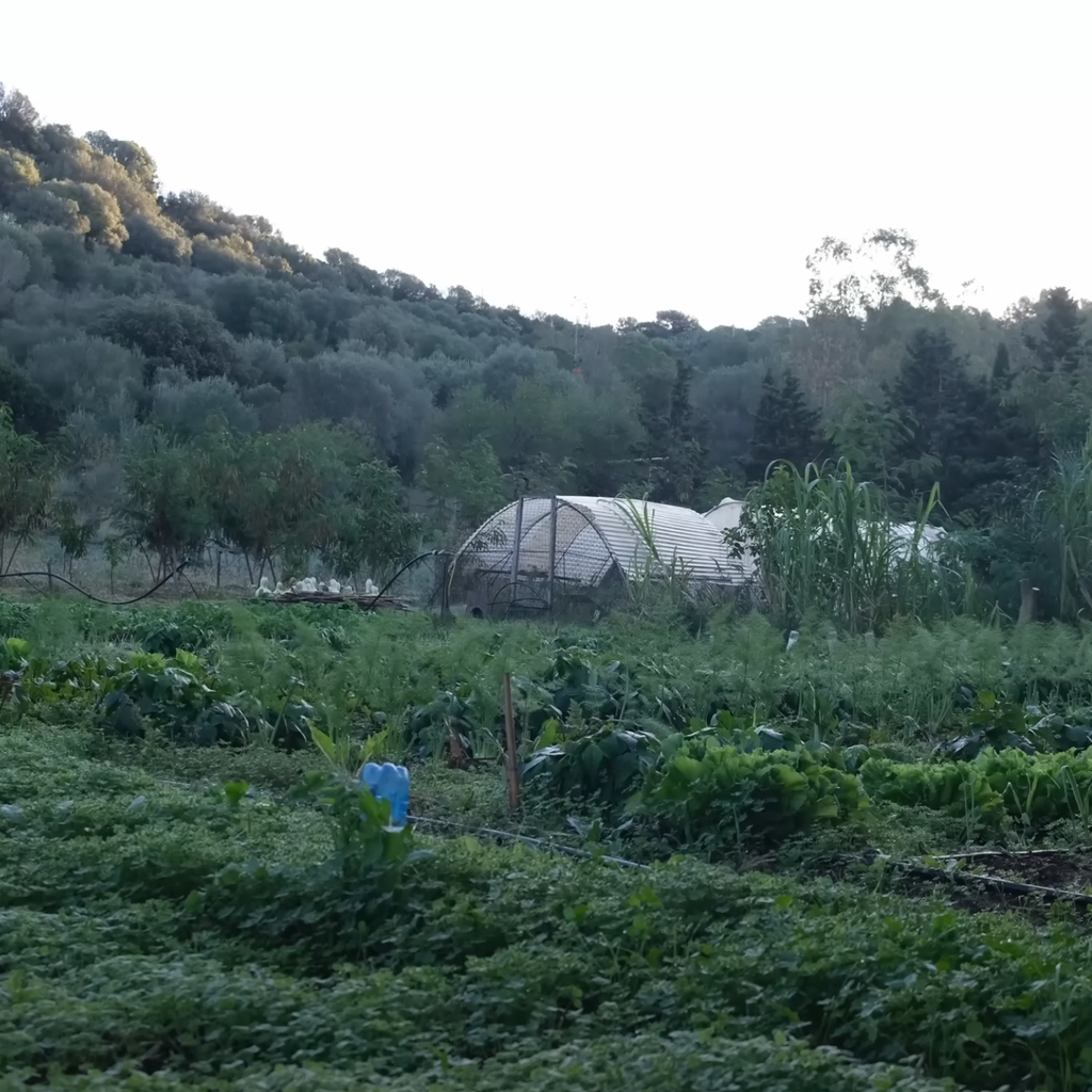 L'INNESTO PERMAKULTURFARM AUF SARDINIEN
